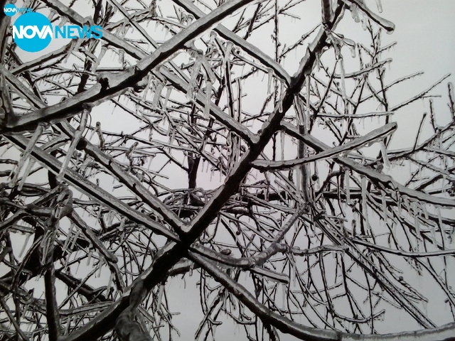 Ледена епоха (2016) – Монтана