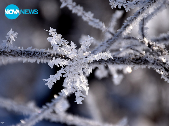 Ледена красота от днешния мразовит ден