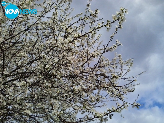 Честита първа пролет!