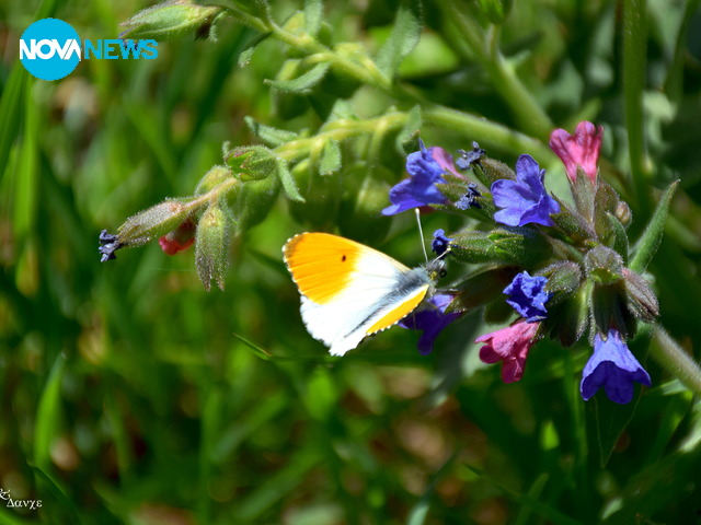 Априлска пролет!