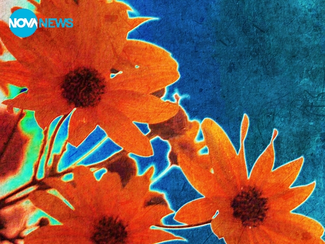 Няма тема, няма репортаж просто мои снимки