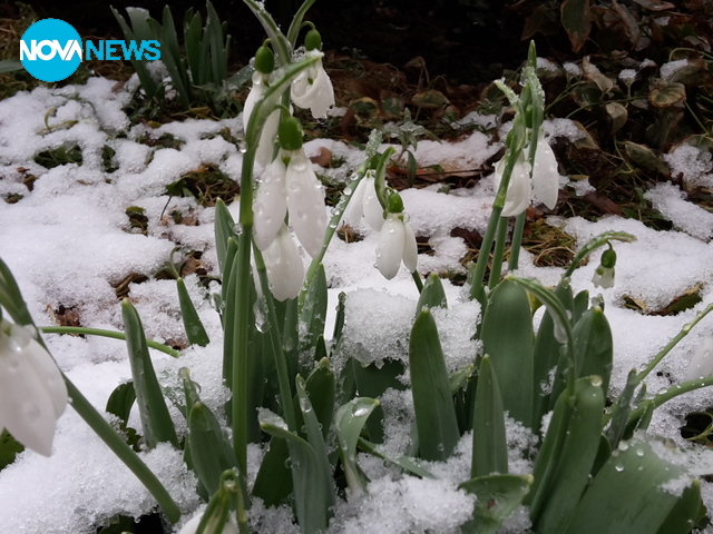 Снимка за прогнозата на времето