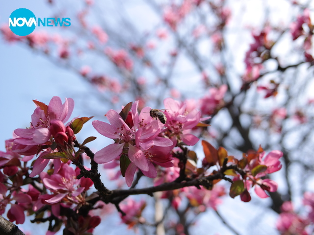 Пролетно настроение