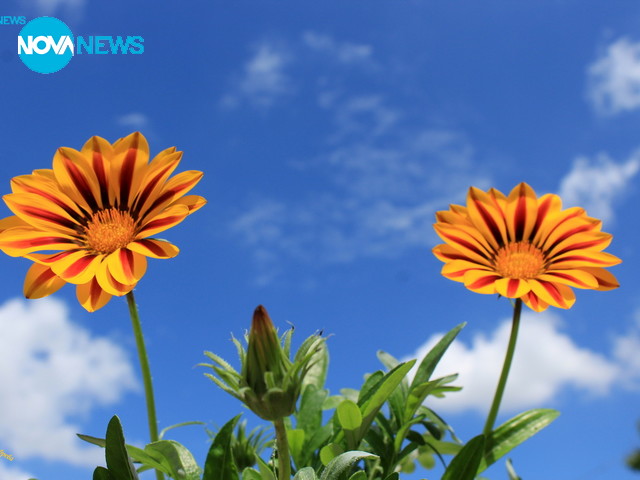 За прогнозата на времето