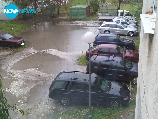 Кал, кал и пак кал в Пловдив