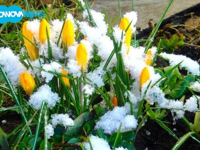 Снимка за прогноза на времето