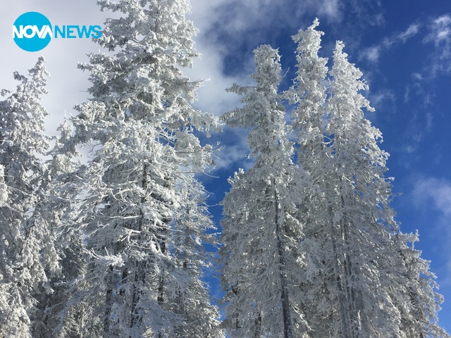 Снежанка - Пампорово