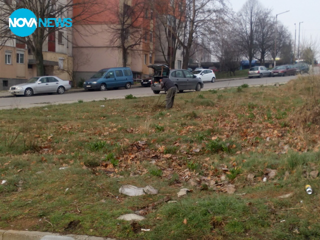 Как се краде дърво?