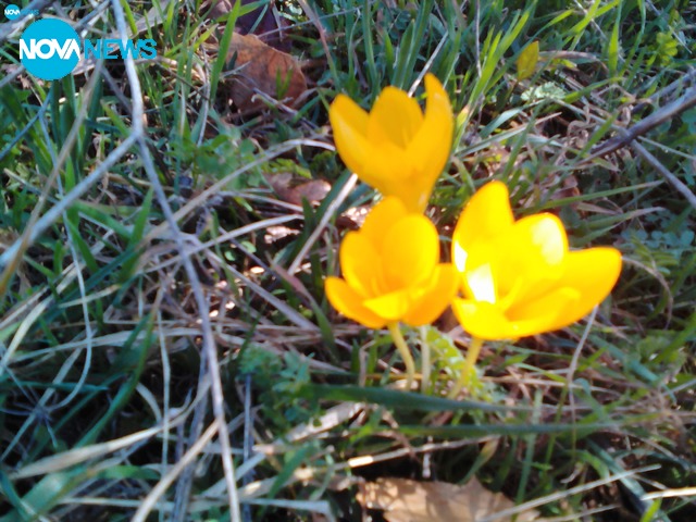 Пролетно настроение