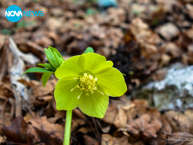 Снимка за прогнозата
