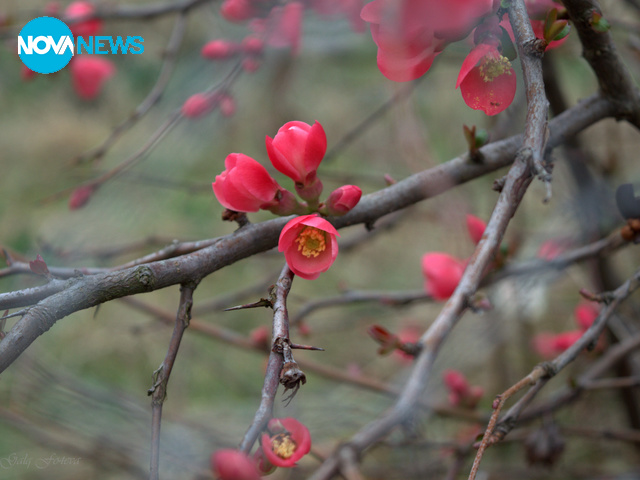 Пролет във Варна