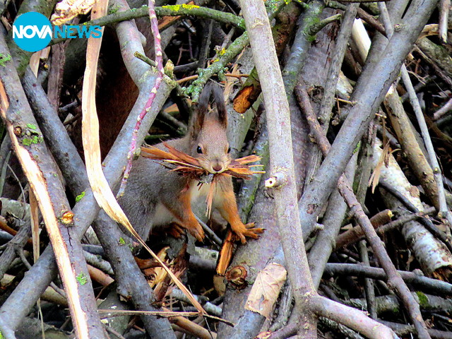 И катеричката използва хубавото време