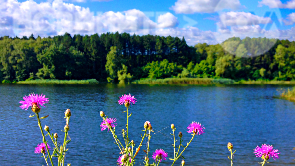 Цветен юнски ден на езерото