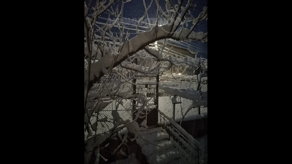 Сняг