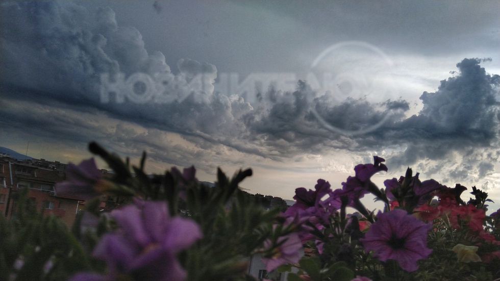 Облачно с цветя