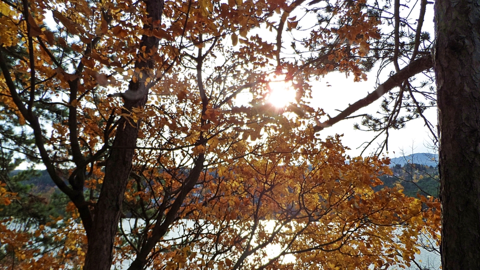 Есенно слънце над Панчарево