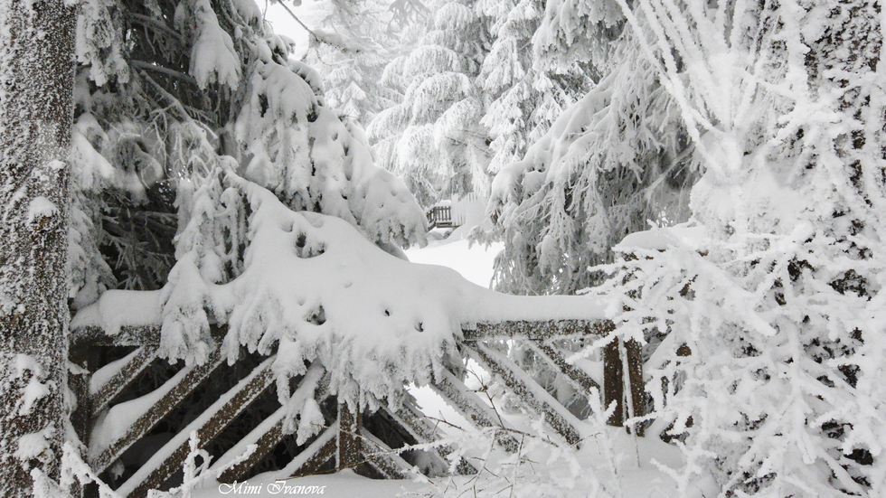 Снежно вълшебство в Боровец