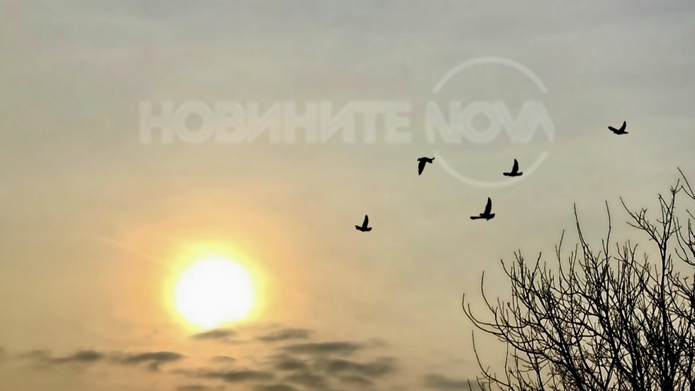 Красота в студеното утро