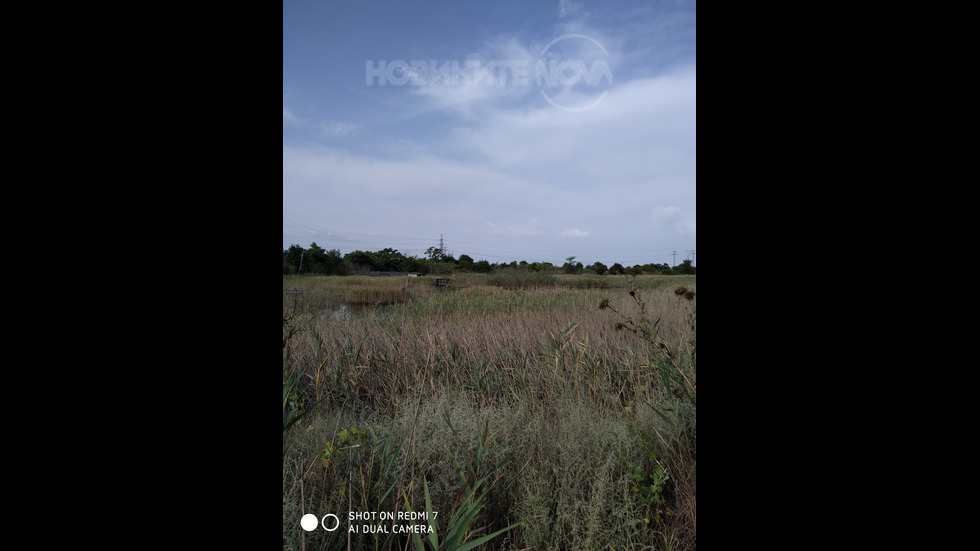 Безобразно почистване