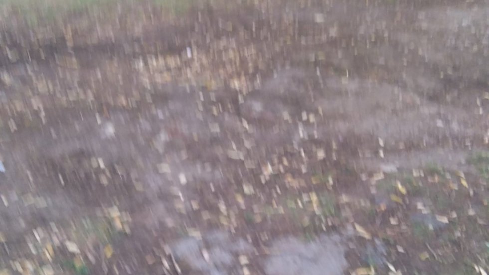 Паркиране на коли