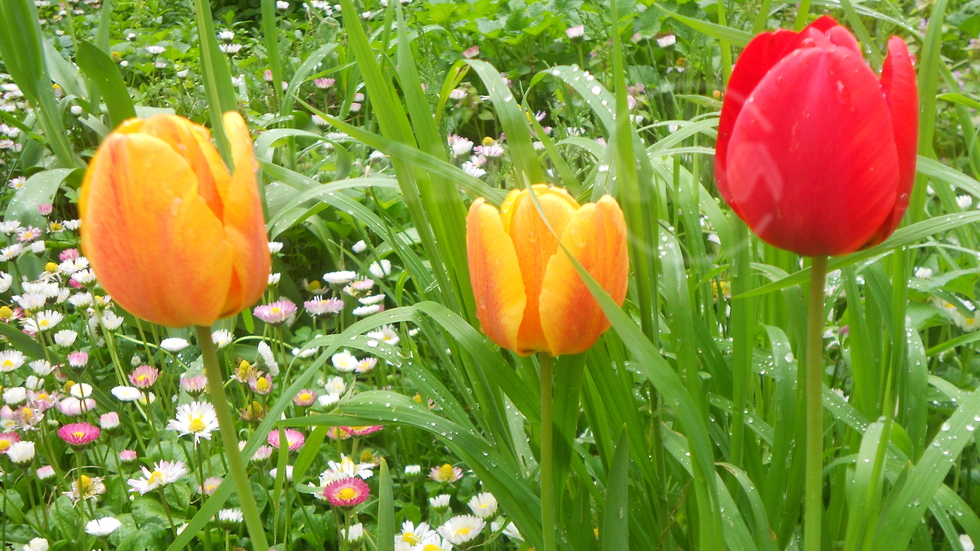 Пролетно настроение!