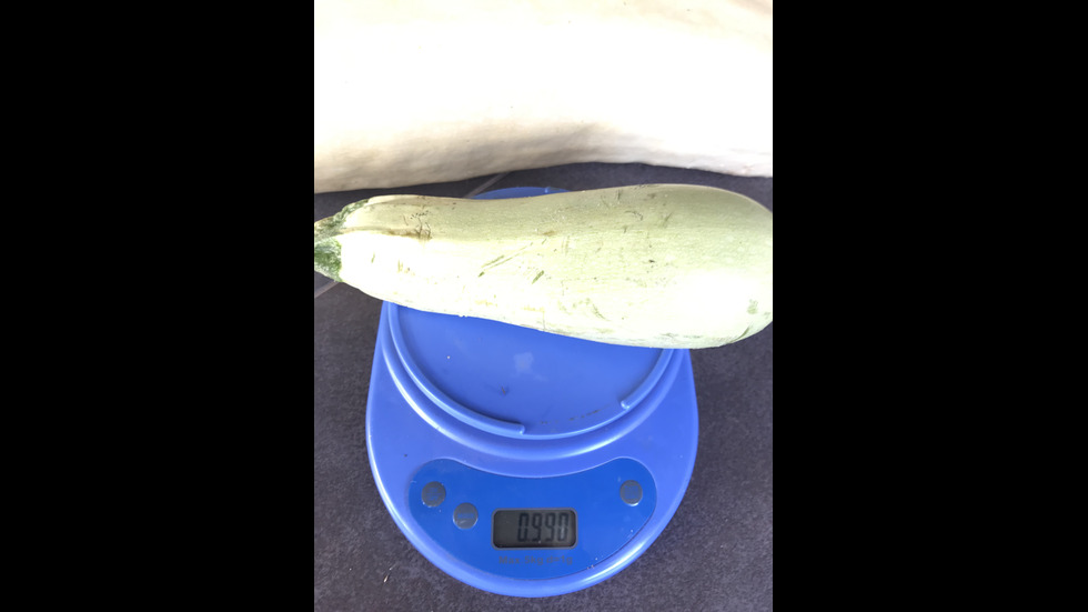 Чудесата на природата