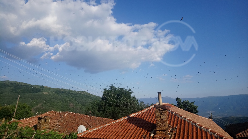 Село Баскалци