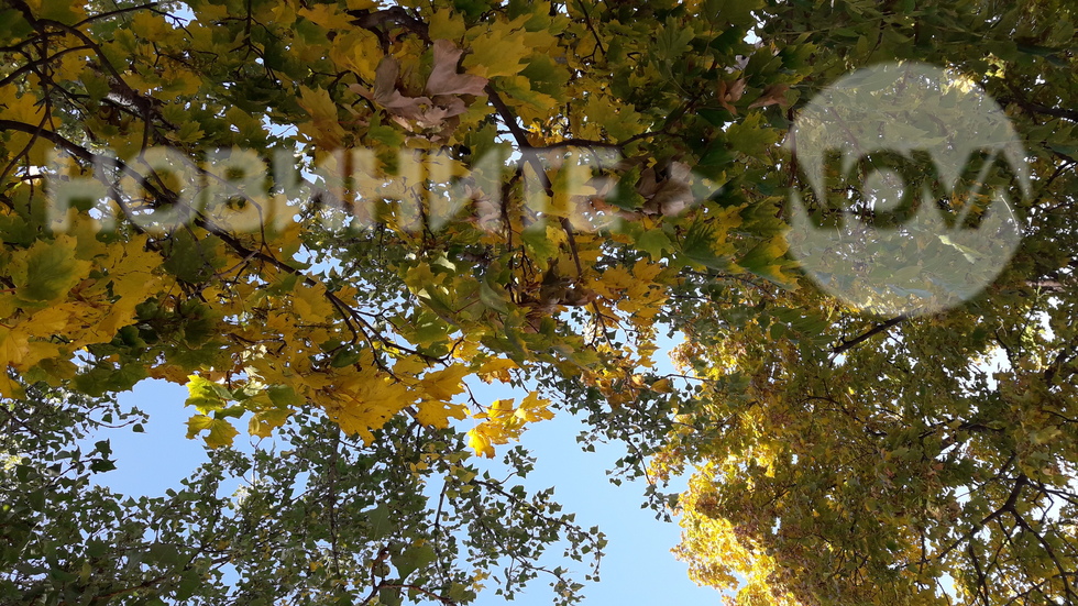 Есенна палитра