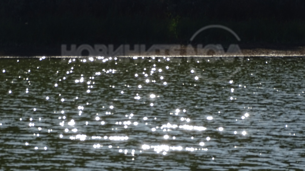 Слънчеви зайчето!