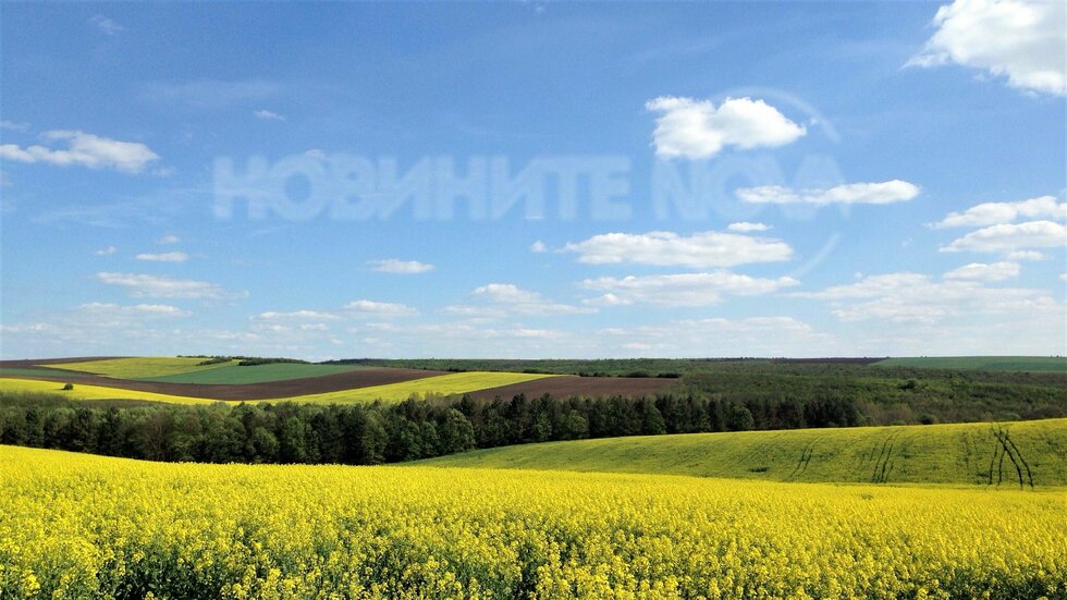 Полета с рапица