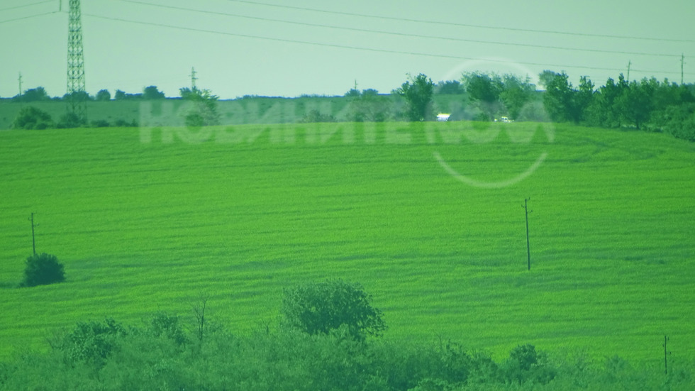 Зеленина, додето поглед стига!