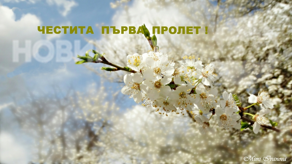 Честита първа пролет!
