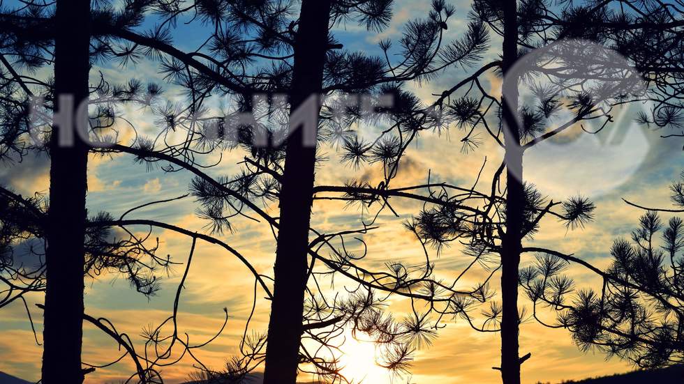 Залезът от вчера