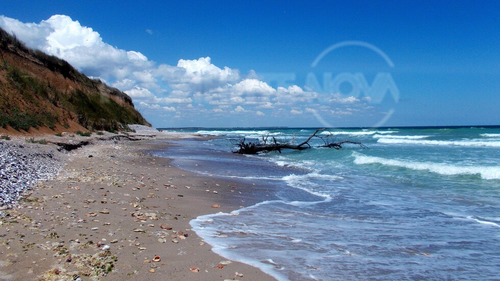 Морето край нос Шабла