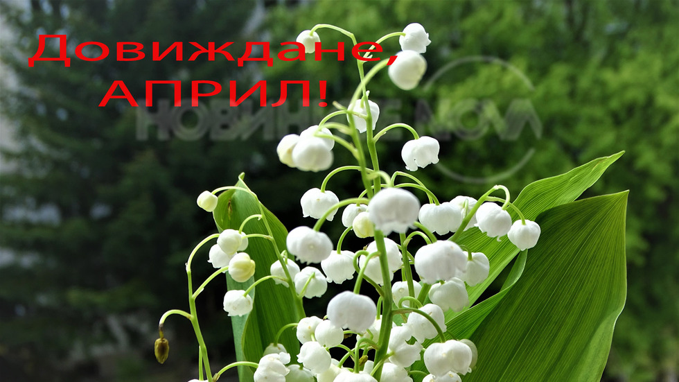Сбогуване с великденския месец!