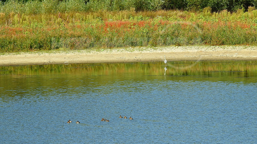 Красива есенна гледка край язовира!