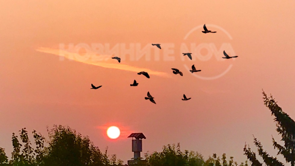 Ноемврийско утро