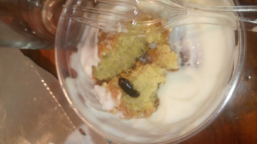 Хлебарка в храната