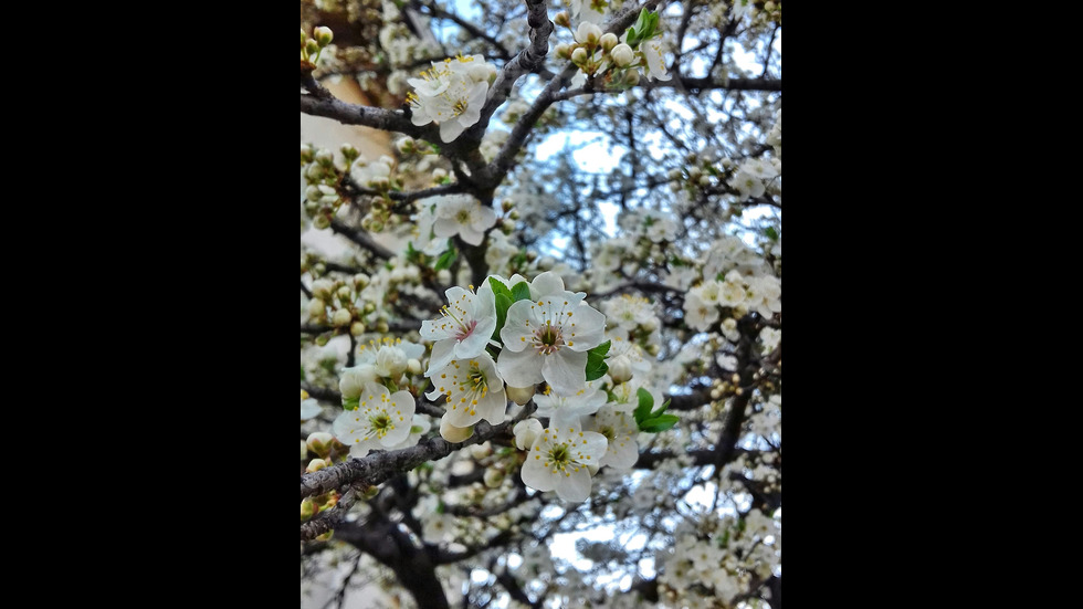 Пробуждане