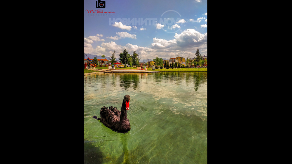 Успешна седмица!