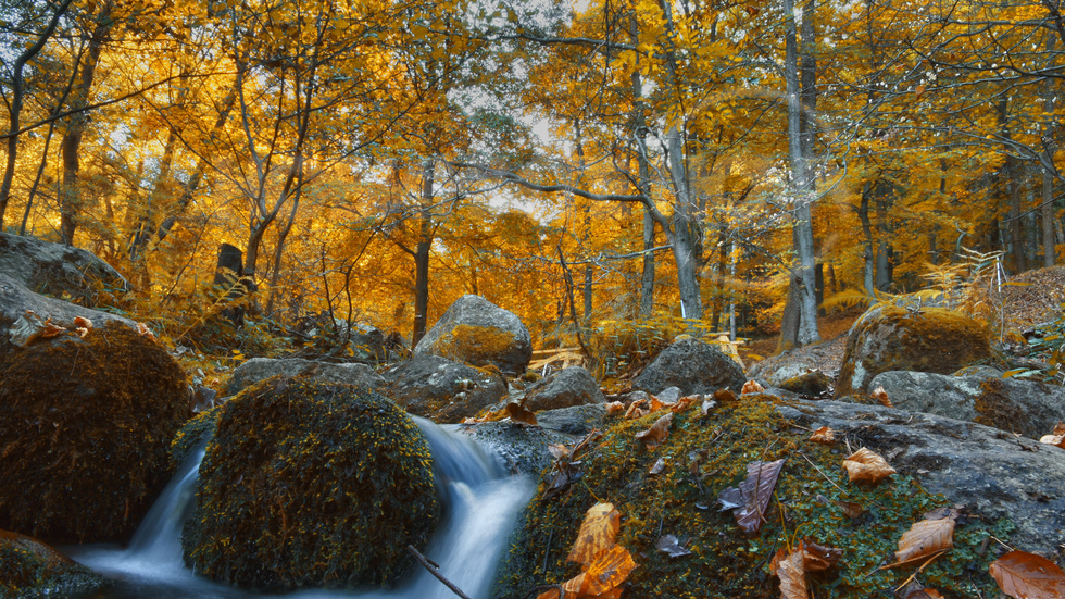 Есен в планината