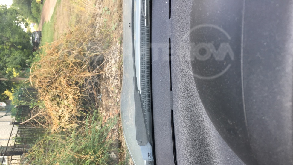 Тези клони трябваше да бъдат извозени...