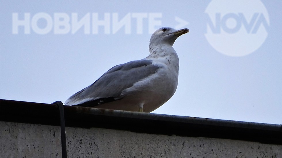 Замислен дали ще се оправи времето!