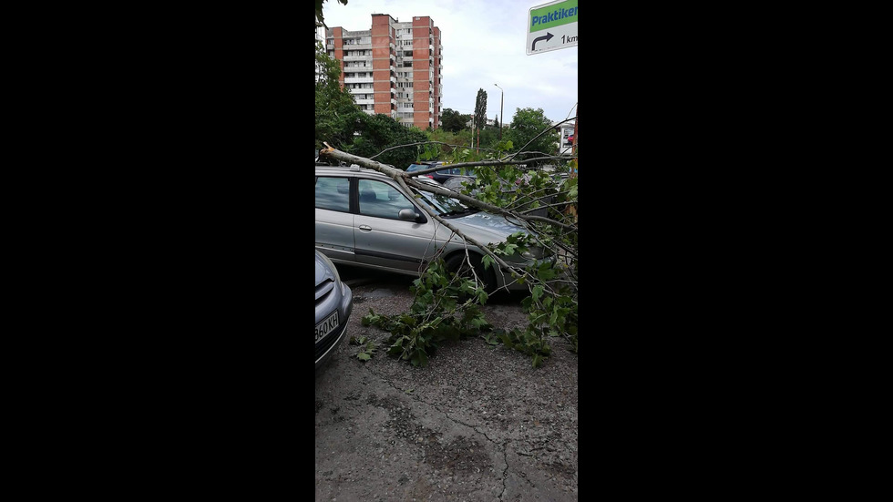 След бурята във Велико Търново