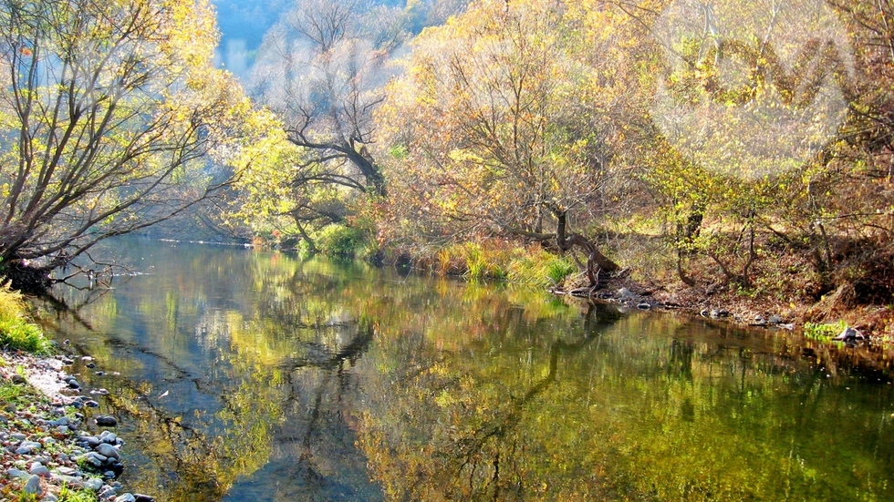 Есен край река Струма