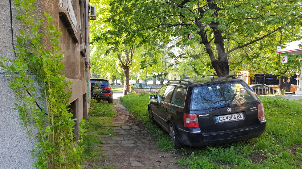 Паркиране по тревни площи