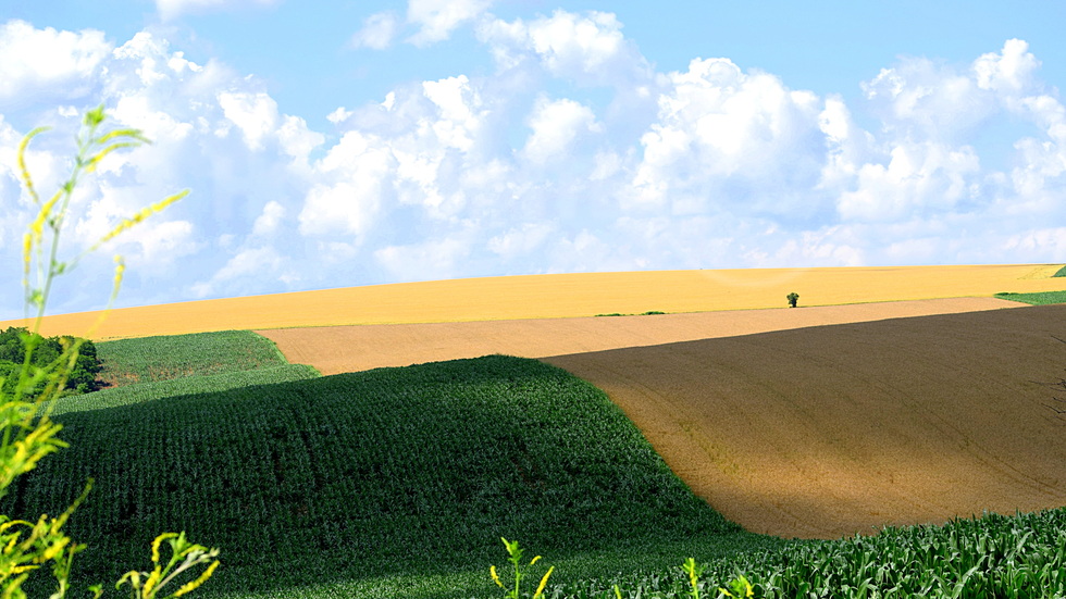 Вече в лятна палитра!