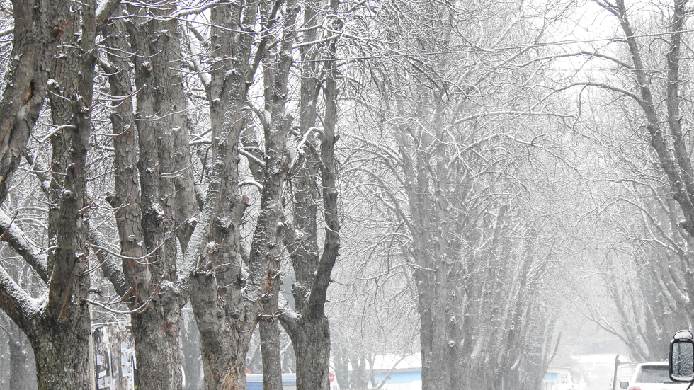 Разград побеля!