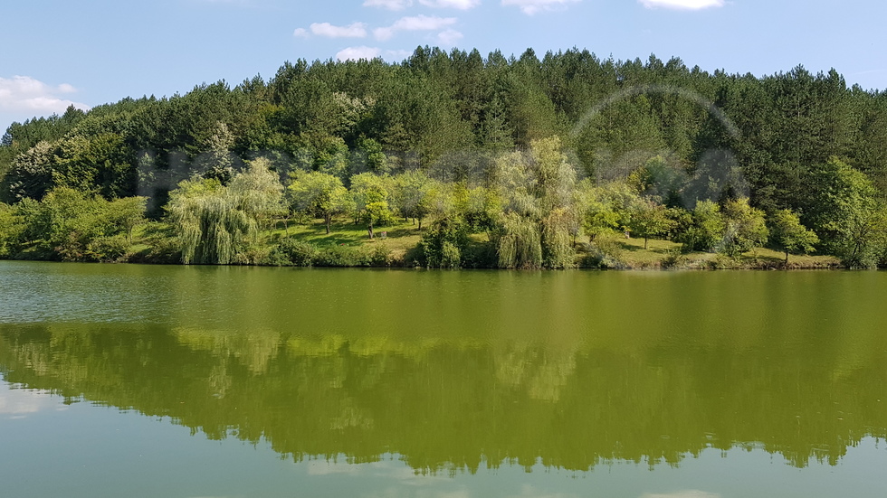 Красивият язовир в село Пет кладенци