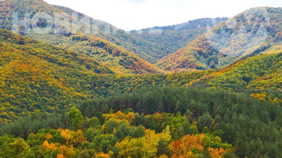 Есенна палитра в планината